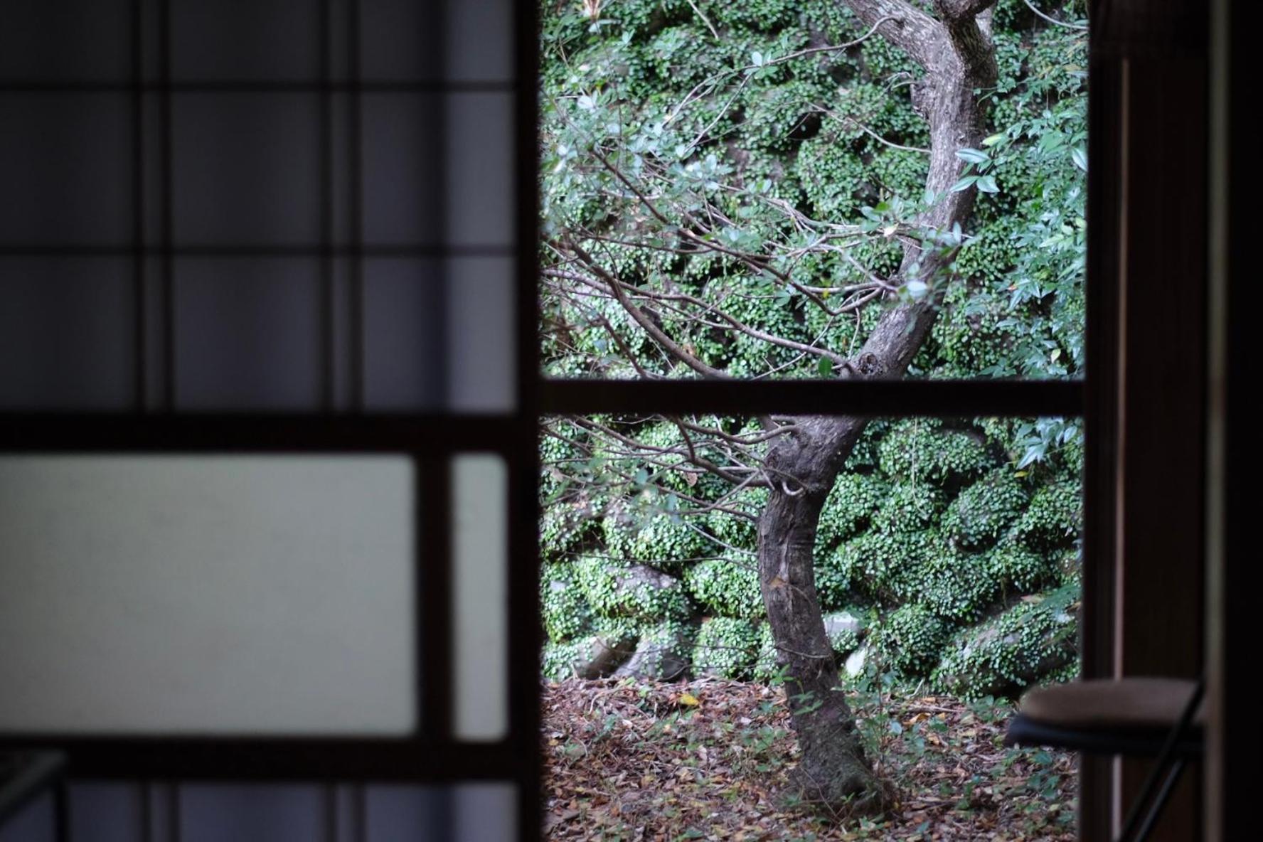 Shimanto Riverside Hideaway Oda fotoğraf
